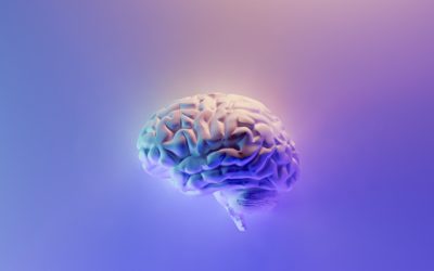 Die Second Brain Methode – Schluss mit Chaos im Kopf